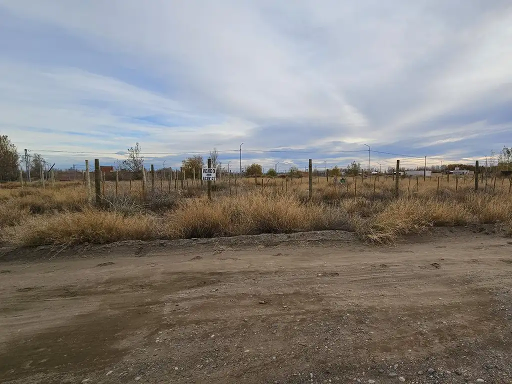 Terreno en  Jardines del Limay, etapa 2- Paraje China Muerta