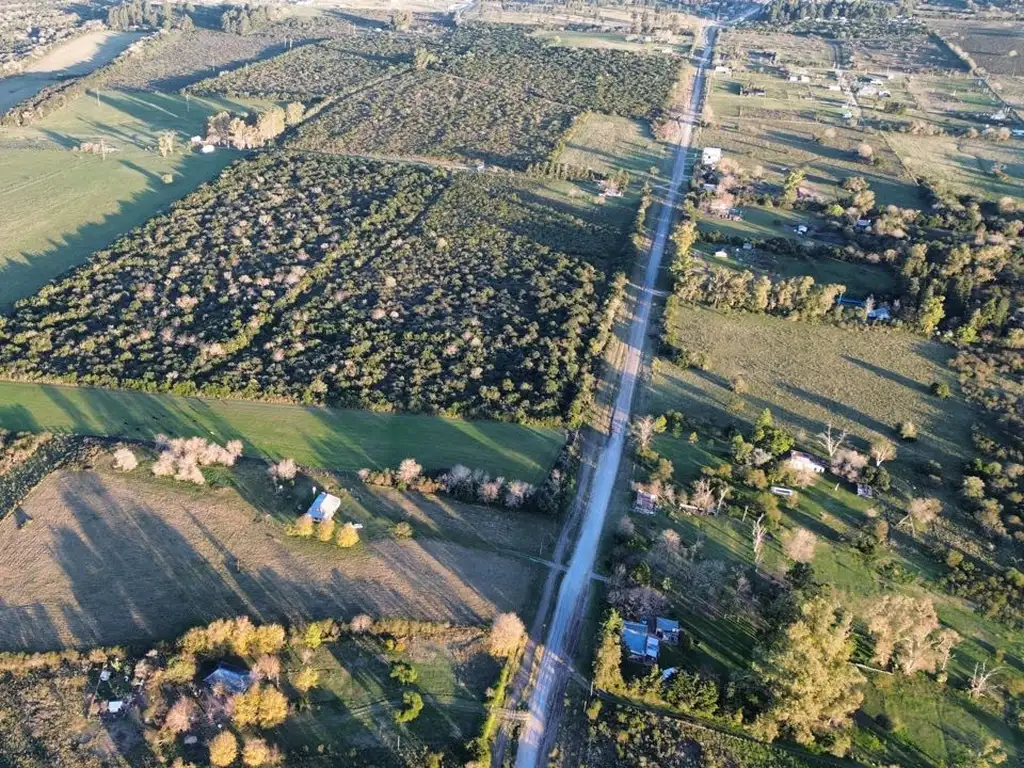 Vendo Casa de Campo en 3 Has en Concepción del Uruguay, Entre Ríos.