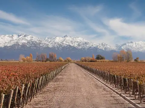 Terreno en Venta en Mendoza