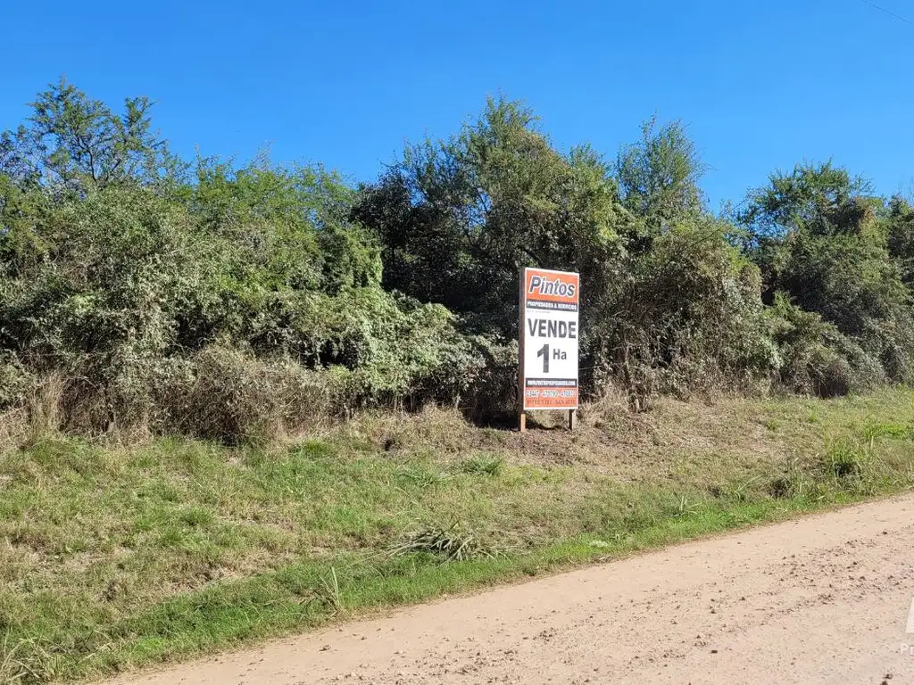 Terreno por Antelo, a 600 mts de calle de Ingreso a Playas y Termas. SAN JOSE. ENTRE RIOS.