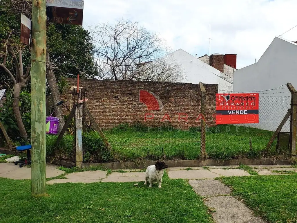 Lote En Martín Coronado En Esquina