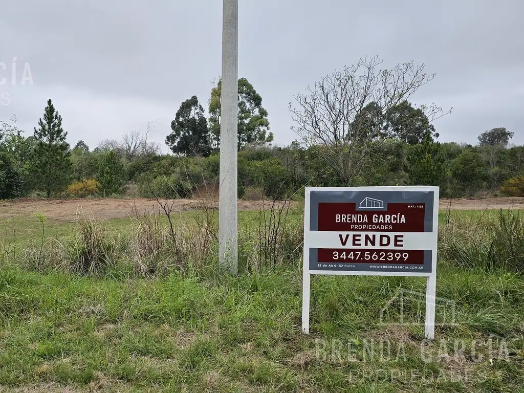 Lotes En Venta Sobre Ruta Interna Entre San José Y Colón