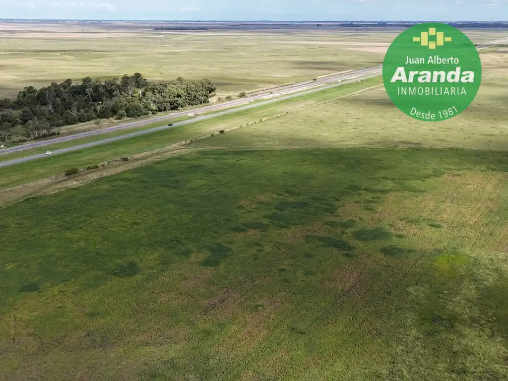 CAMPO EN VENTA       607 HECTAREAS               PARTIDO DE MAIPU