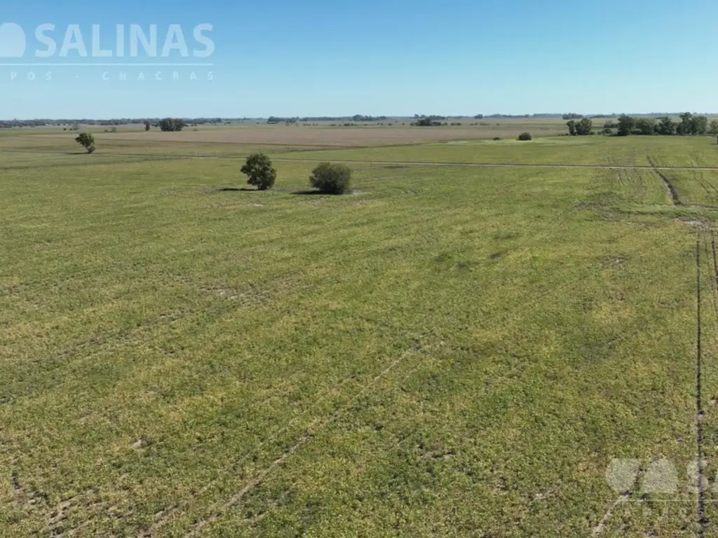 78 Has. Campo Agrícola sin mejoras en Villa Ruiz