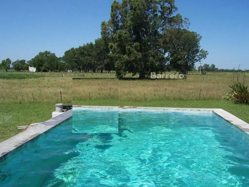 Campo - Venta - Argentina, Las Flores