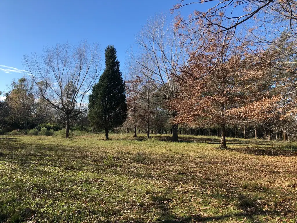 7 Estupendos terrenos en Las Lomadas, Los Cardales