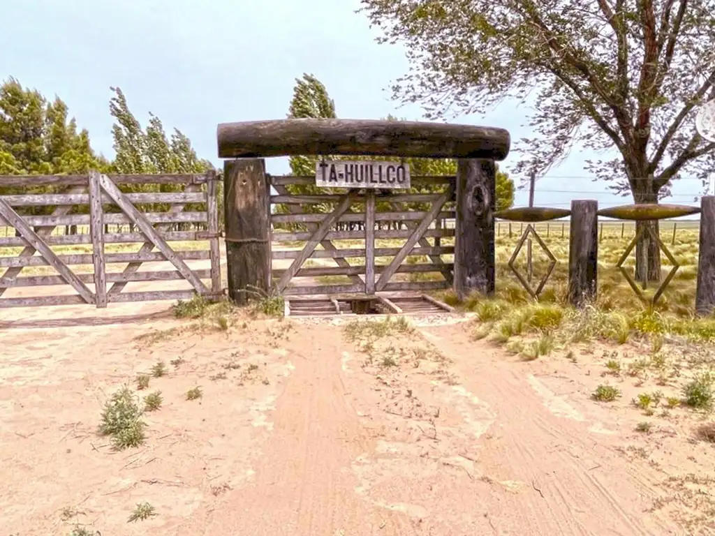 Campo en Toay La Pampa 10.000 has y posibilidad de has