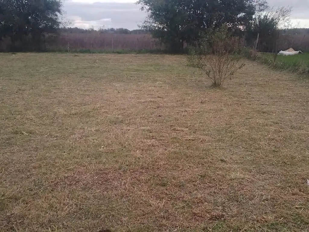 LOTE EN VENTA EN MAXIMO PAZ CAÑUELAS