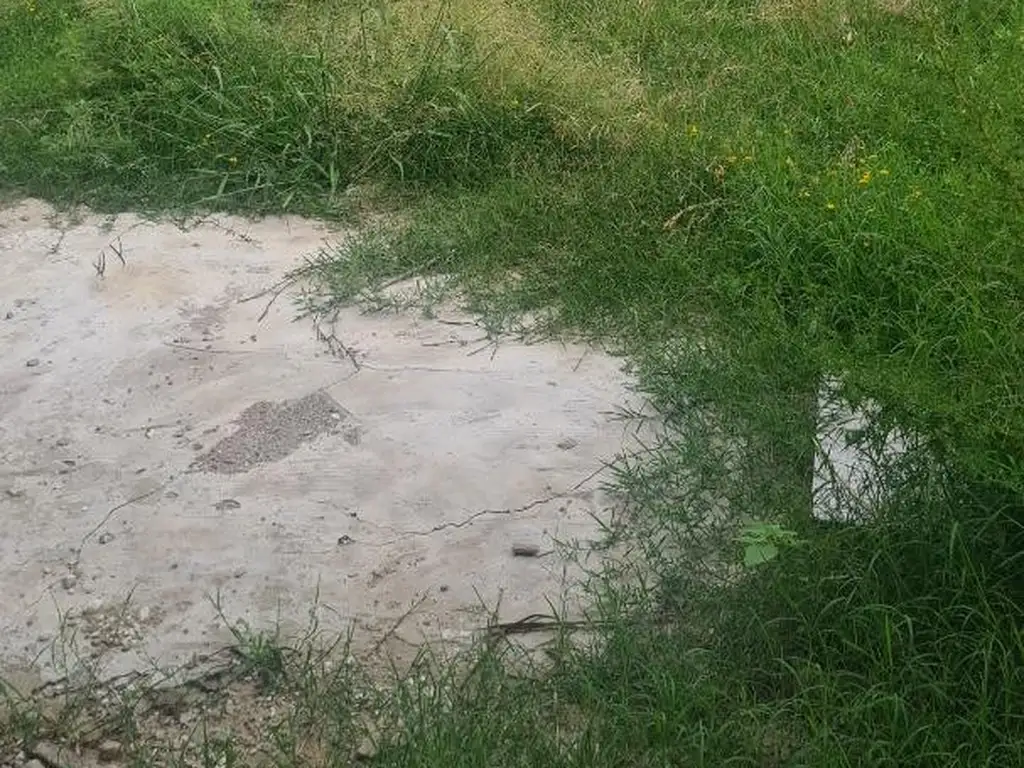 Lote 10x43 con quincho, baños a terminar y mejoras varias