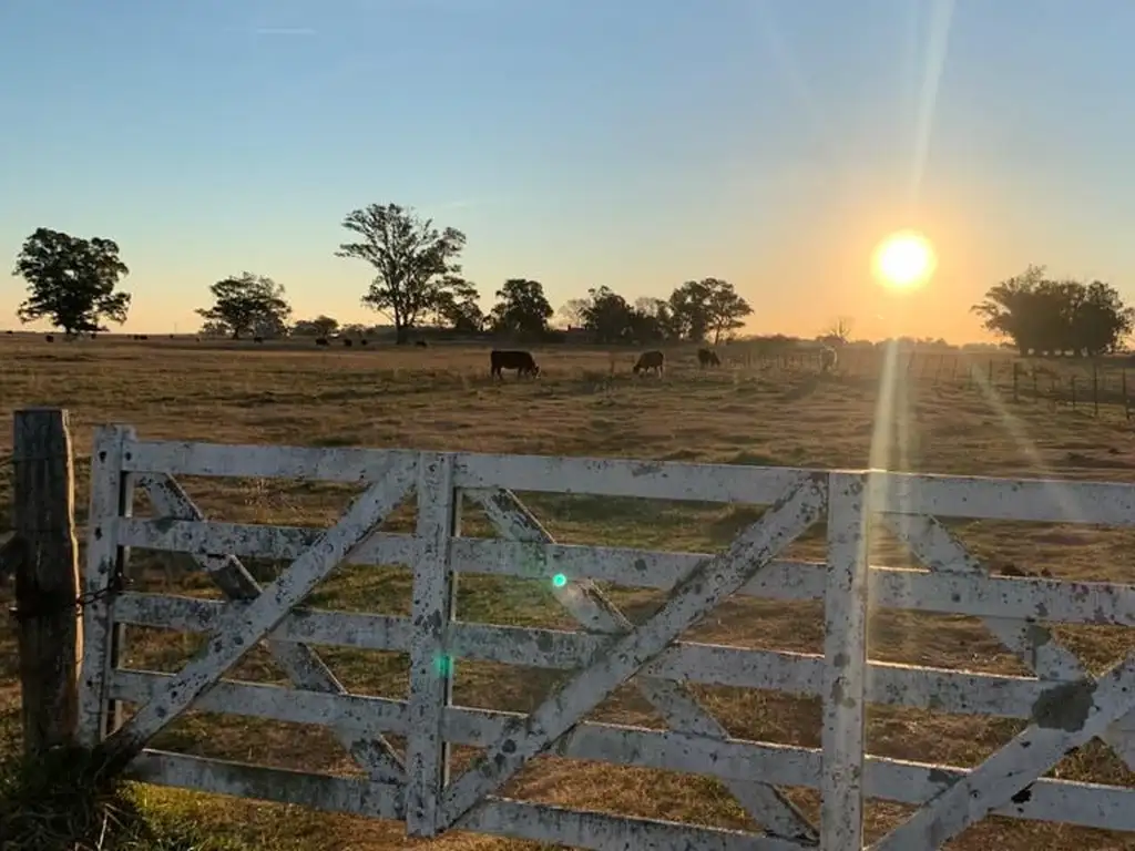 Venta de Campo, en Ruta 11 - Km 21, Magdalena - Buenos Aires