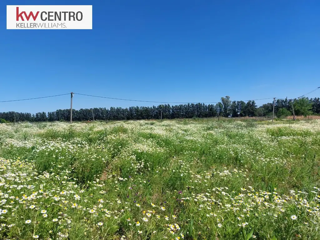 Venta campo  El Pato - Berazategui - Pcia. de Bs. As