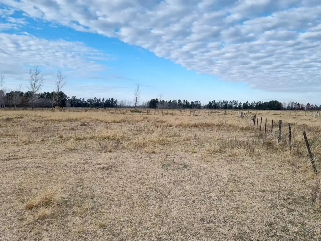 TERRENO EN NUEVO ALBERDI ROSARIO