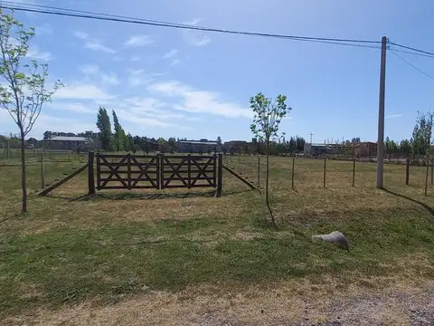 Terreno de 2000 m2 Aprox a la venta en URIBELARREA - Cañuelas