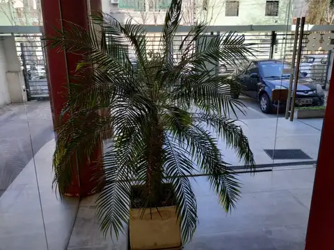 Departamento en Venta en Quilmes