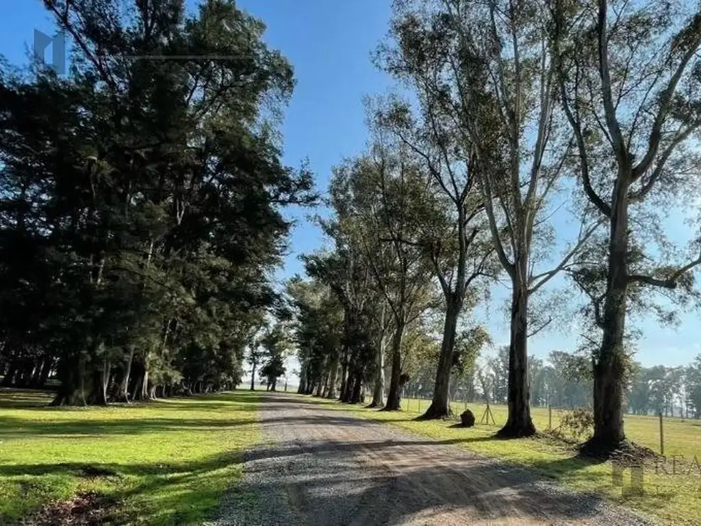 Terreno en  Villa de Campo Los Pinos - Barrio Las Casuarinas