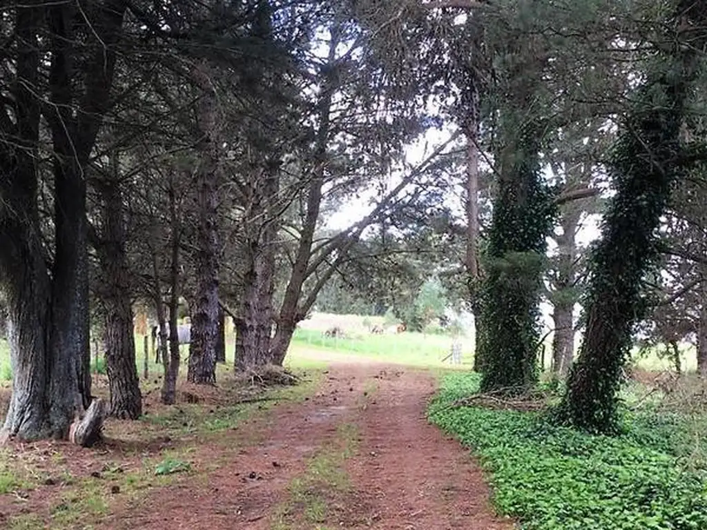 Campo Agricola. Excelente tierra c/ importante Casco, Galpones. Gral. Pueyrredón