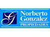 NORBERTO GONZALEZ PROPIEDADES