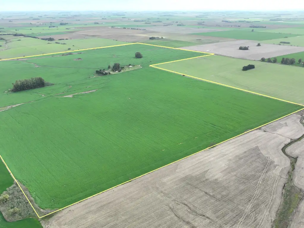 210 Has. Campo agrícola en Arrecifes