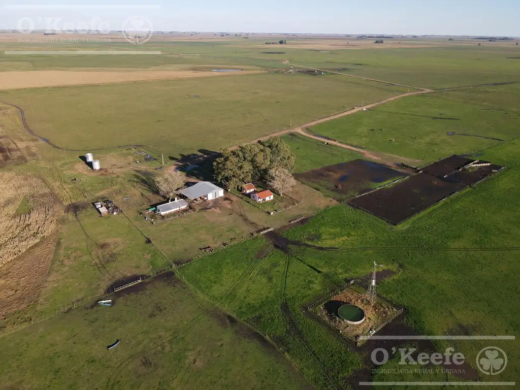 Campo Mixto en venta de 1440 has . 40% agrìcola con buenas mejoras - Olavarria