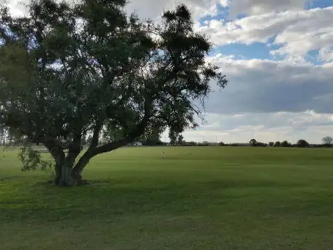 Campo venta - 1,2 Hectáreas  - Chacras de la Trinidad