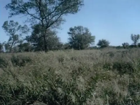 Campo Venta en Santiago Del Estero