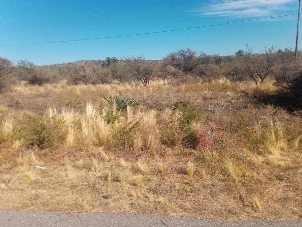 Venta de terreno en San Francisco del Monte de Oro, San Luis