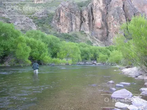 Campo en venta de 635 Has  Bariloche, costa del Pichileufu, Rio Negro.