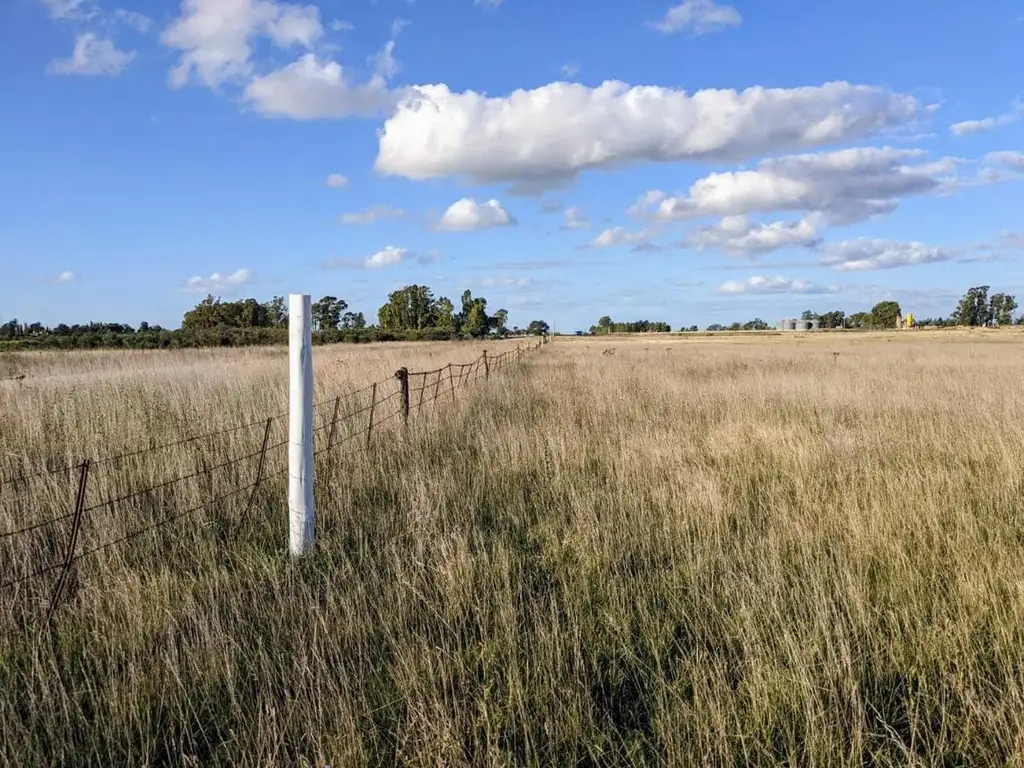 Campo - Benito Juarez