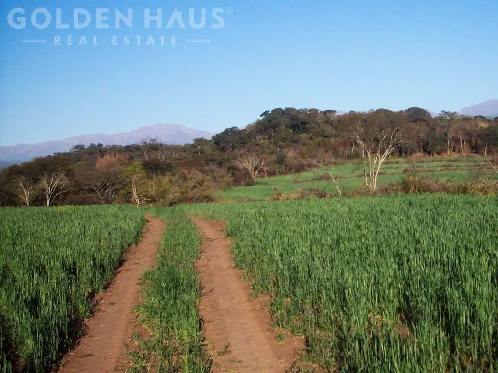 Campo en  Campo Mixto - 7200 Has - Metan, Salta - Argentina.