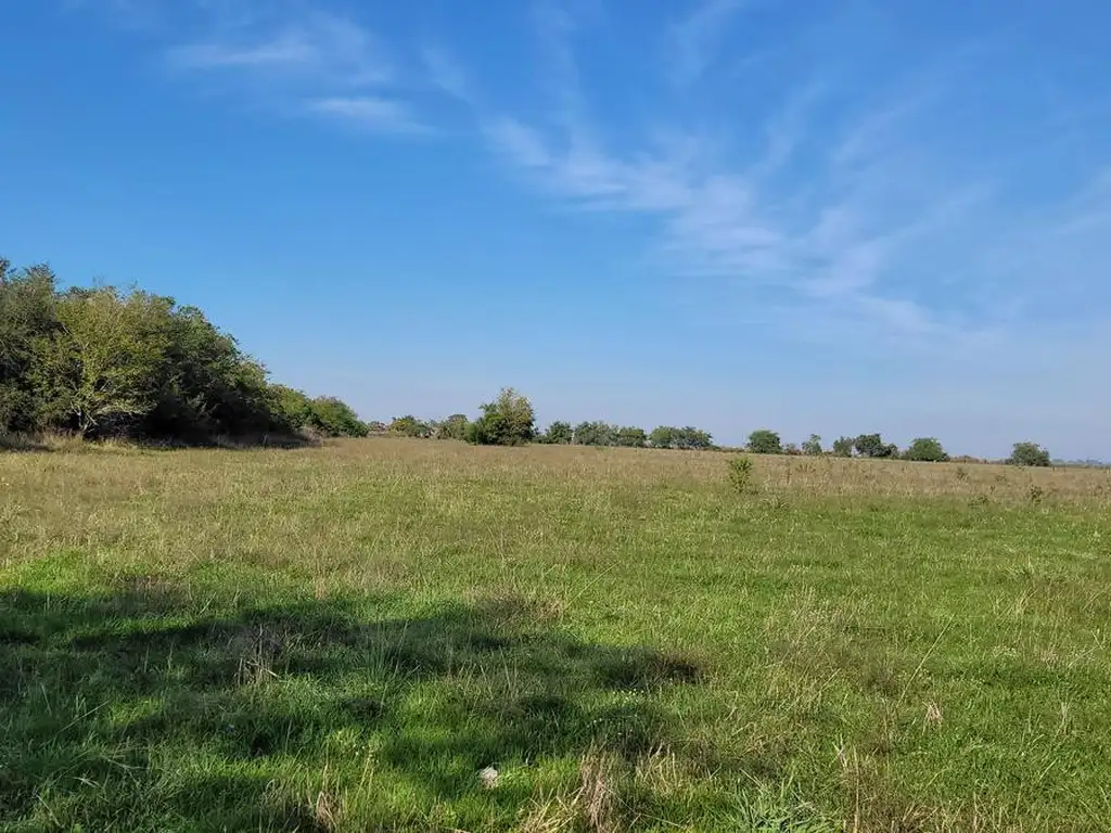 Campo en Gualeguaychú