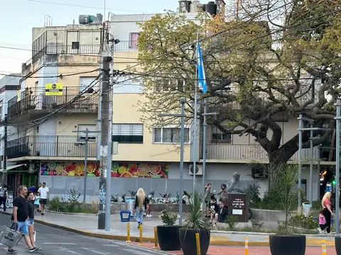 CENTRICO DEPTO 3 AMB FERENTE c/ TERRAZA Y DEPO 2AMB INDEPENDIENTE