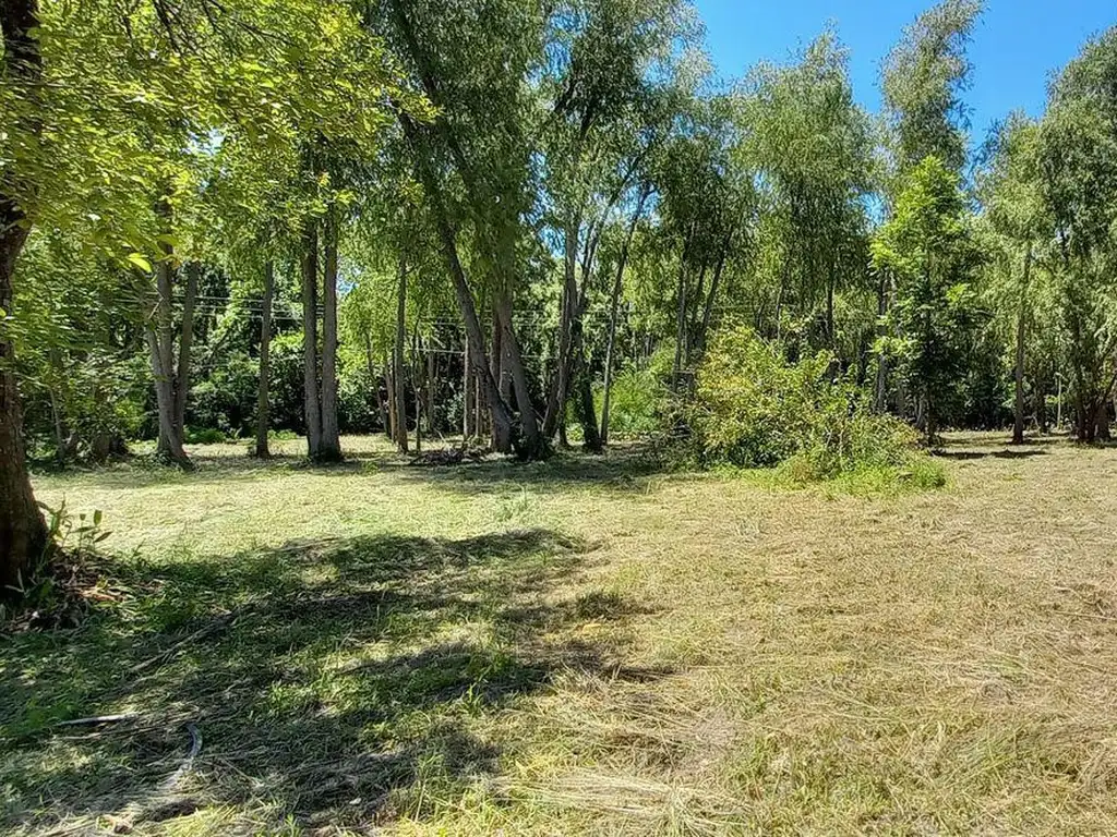 Terreno Lote  en Venta en Espera, Zona Delta, Tigre