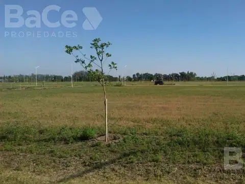 Terreno en  CARCARAÑA