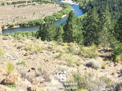 VENTA 60 Ha con 500m  de acceso sobre costa de Río Limay - Valle Encantado