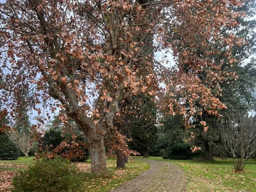 VENTA, TERRENO EN CENTRO DE PILAR, PILAR