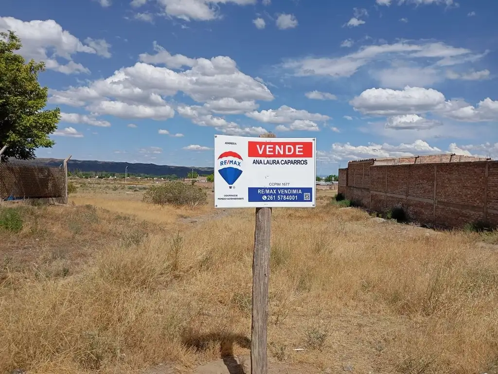 Terreno en Venta sobre Ruta 86 - Tupungato