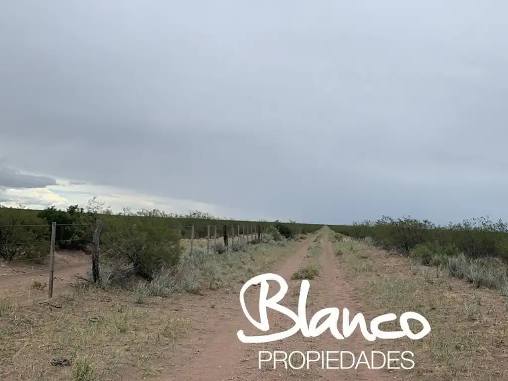 Campo  en Venta en Santa Isabel, Chalileo, La Pampa