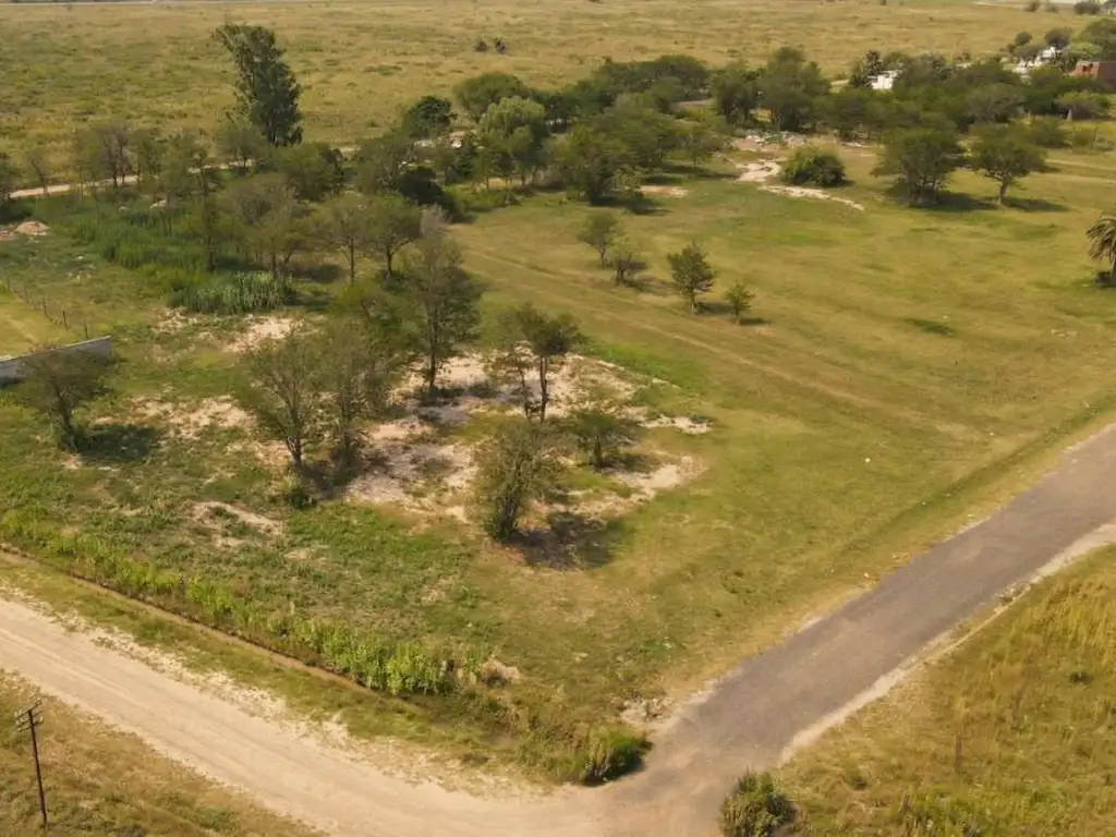 TERRENO - LOTE - 1930 M2 - LUIS PALACIOS