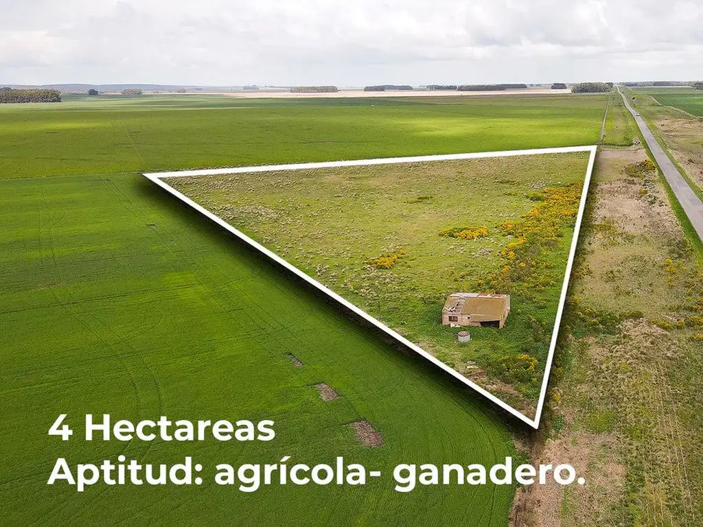 4 HECTAREAS DE CAMPO LOBERIA  BUENOS AIRES