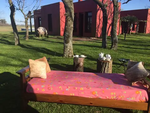 Campo de 32 has con  casa de 200m2 - San Antonio De Areco