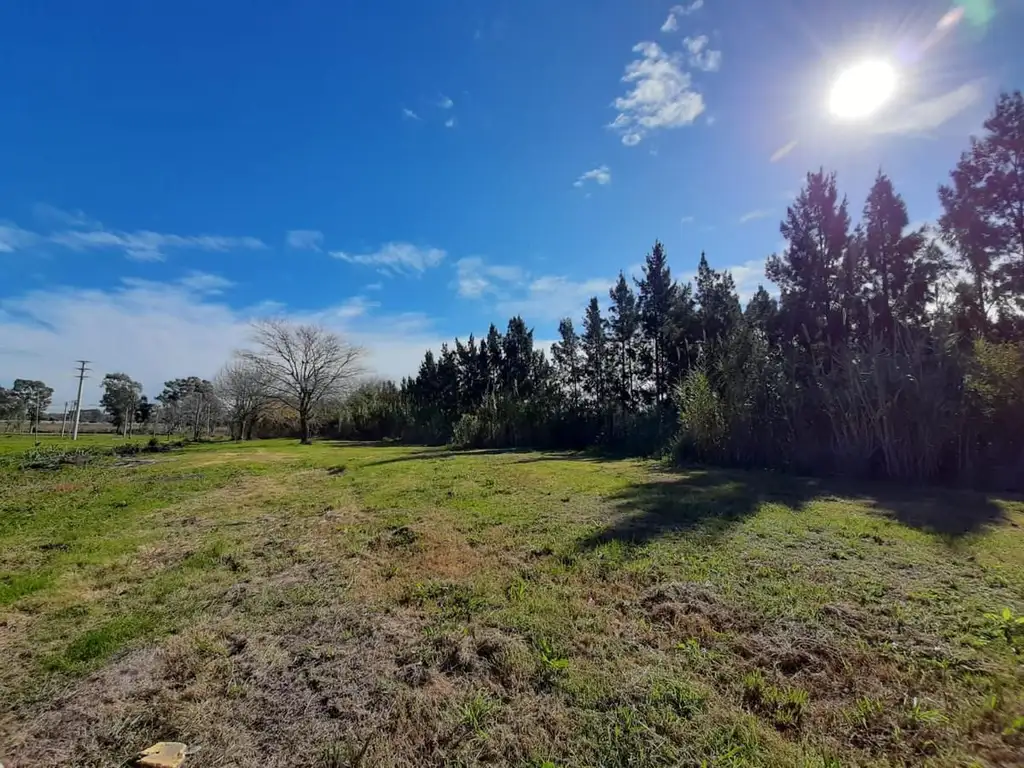 Lote - Venta - Argentina, La Plata