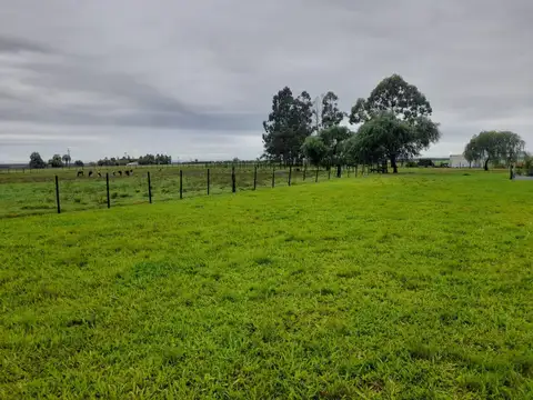 Venta campo agricola con tambo y 3 casas