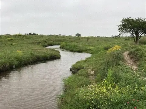 Pintoresca chacra en Entre Ríos, A 4 KM DE RUTA,