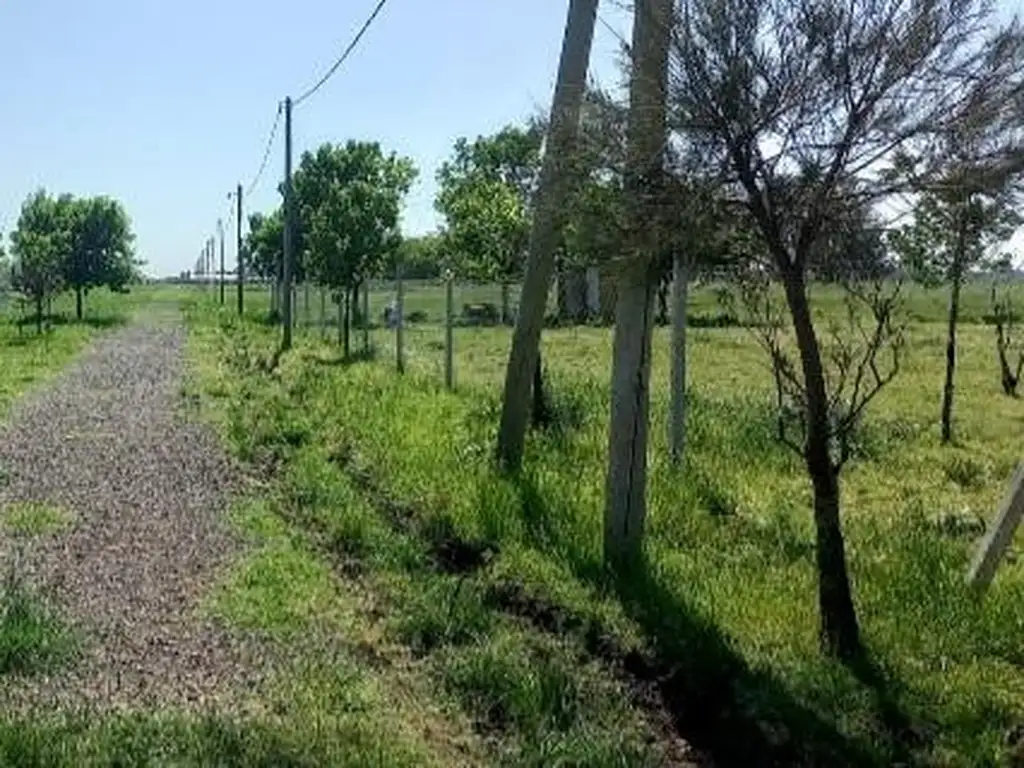 Terreno en  virrey del pino