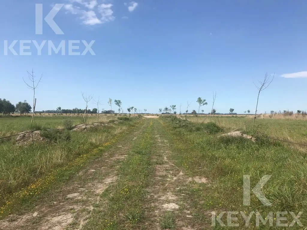 Terreno en venta en  Campos de la Enriqueta