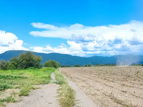 FINCA Camino a San Agustín