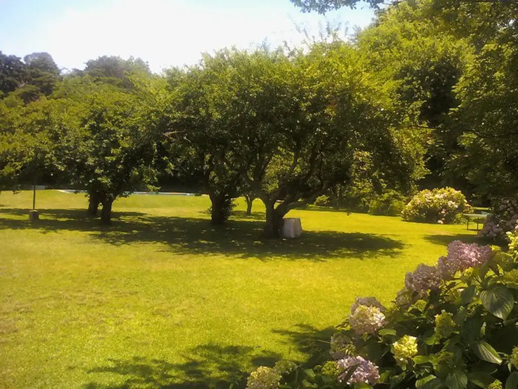 Gran terreno en Escobar con antigua arboleda de frutales y piscina en buen estado - Foto 0
