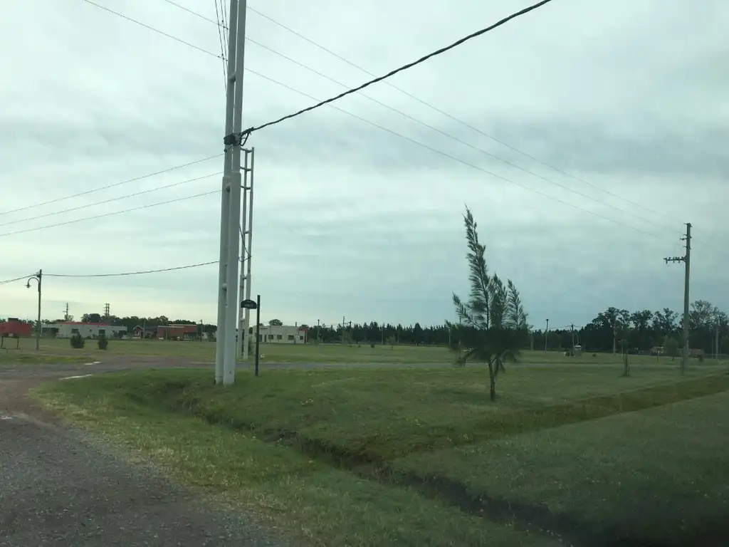 Lote de terreno, Barrio Fincas de San Vicente, tomaria auto.