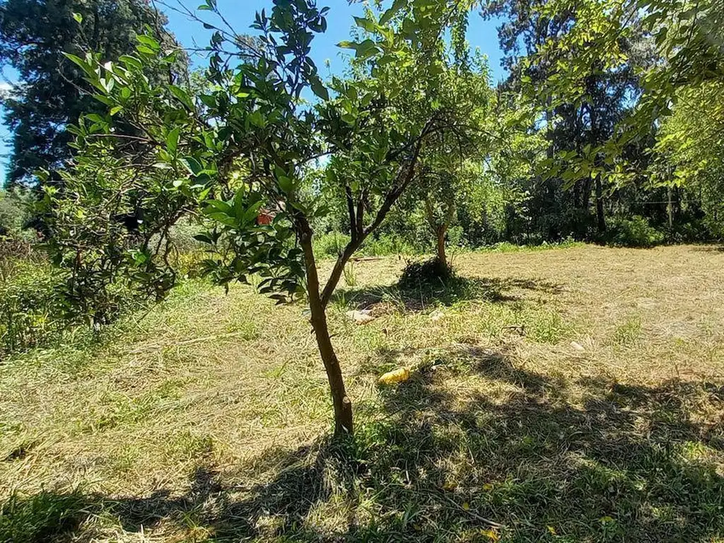 Terreno Lote  en Venta en Espera, Zona Delta, Tigre