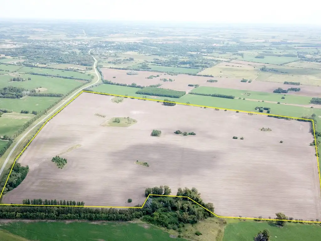 Campo agrícola sobre ruta